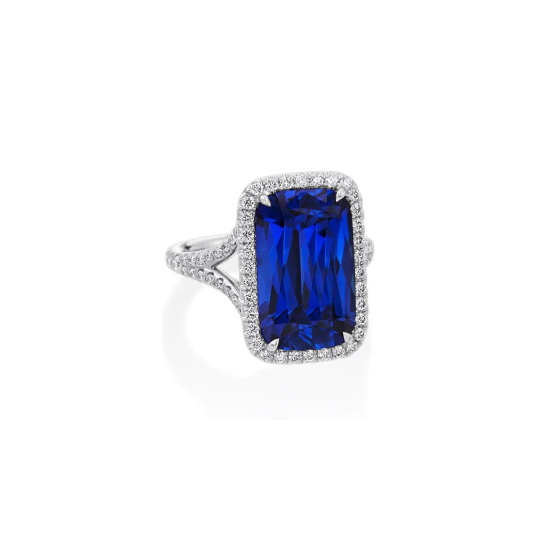 Blue Belle
