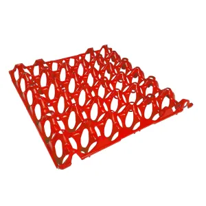 Eton Plastic Egg Tray