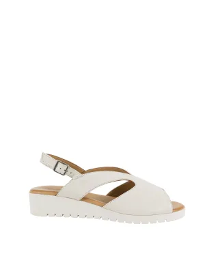 NEAT WHITE