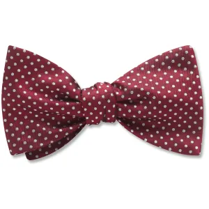 Oriel Wine - Dog Bow Ties