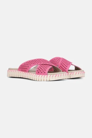 Sandalen - Rose Violet